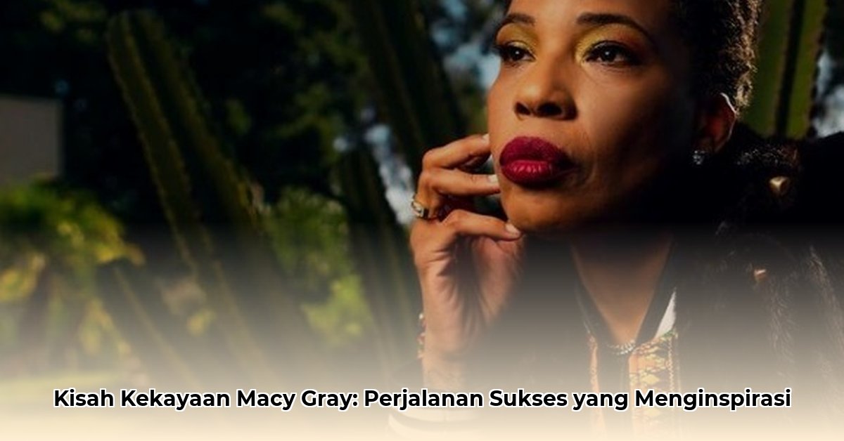 macy gray s net worth